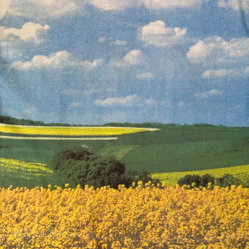T-Shirt - Multicolored - Landscape